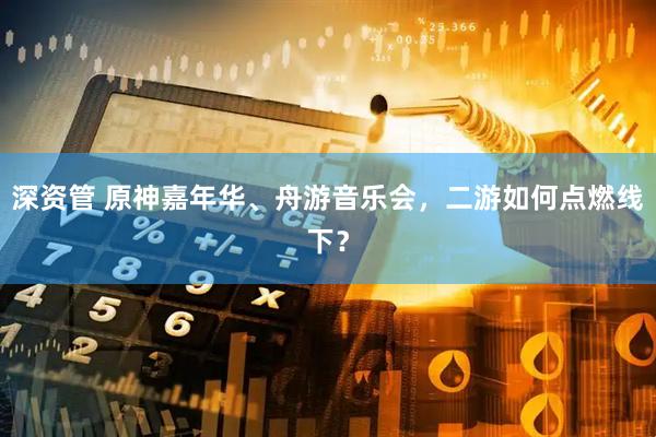 深资管 原神嘉年华、舟游音乐会，二游如何点燃线下？