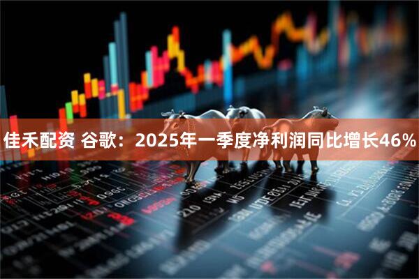 佳禾配资 谷歌：2025年一季度净利润同比增长46%