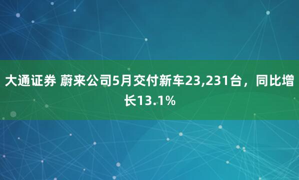 大通证券 蔚来公司5月交付新车23,231台，同比增长13.1%
