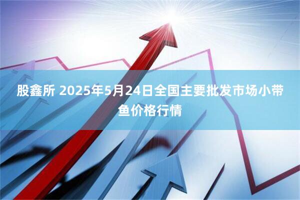 股鑫所 2025年5月24日全国主要批发市场小带鱼价格行情