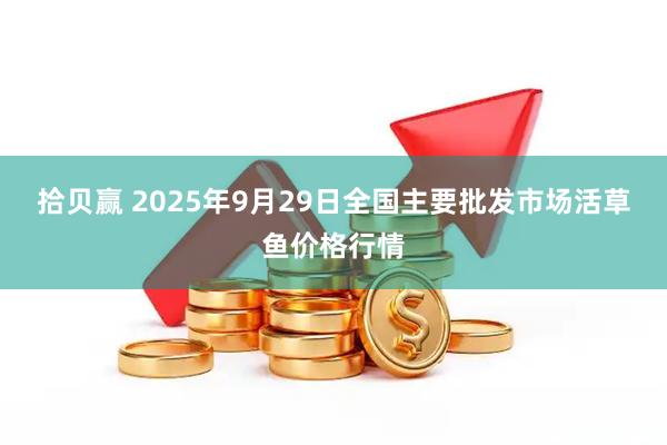 拾贝赢 2025年9月29日全国主要批发市场活草鱼价格行情