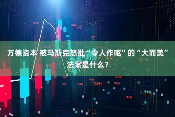 万德资本 被马斯克怒批“令人作呕”的“大而美”法案是什么？