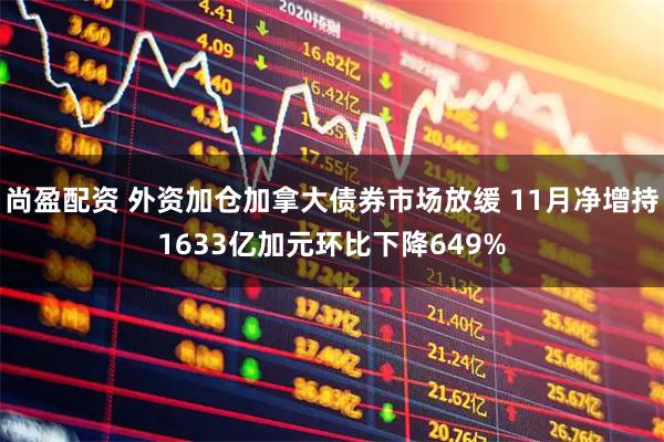 尚盈配资 外资加仓加拿大债券市场放缓 11月净增持1633亿加元环比下降649%